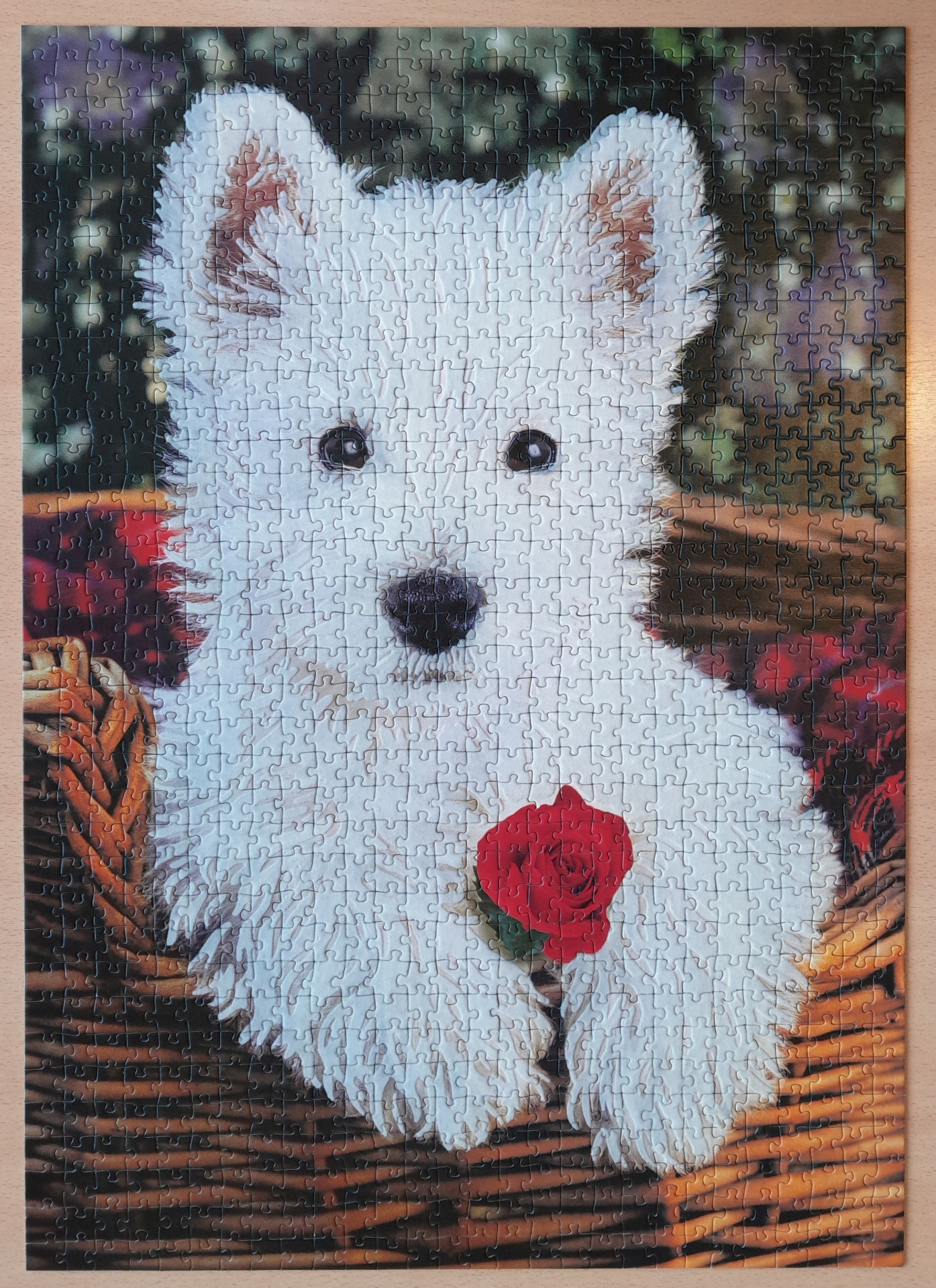 Beschreibung von Bild 4